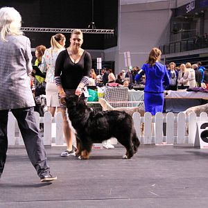 IMG_0428