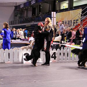 IMG_0429