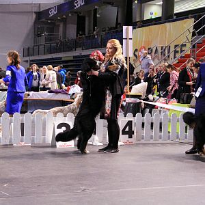 IMG_0430