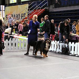 IMG_0431