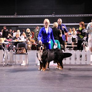 IMG_0434