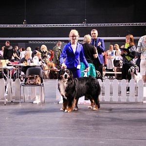 IMG_0435