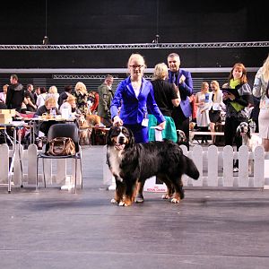 IMG_0436