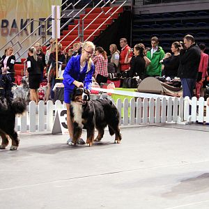 IMG_0439
