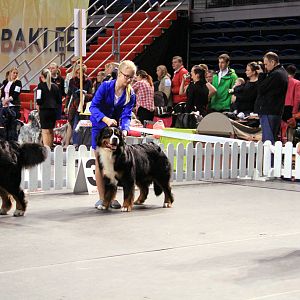 IMG_0440