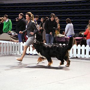 IMG_0443
