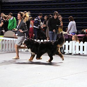 IMG_0444