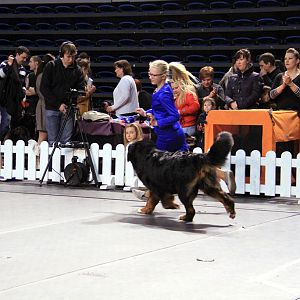 IMG_0445
