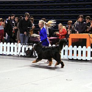 IMG_0446