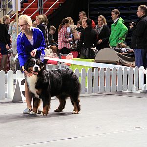 IMG_0448