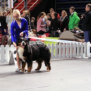 IMG_0449