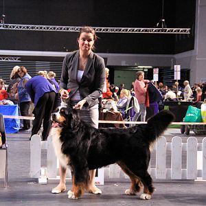 IMG_0451