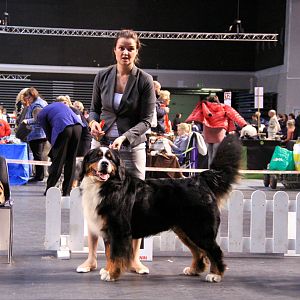 IMG_0452