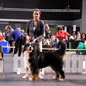 IMG_0453