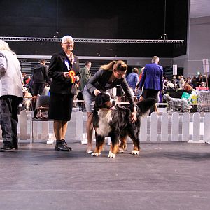 IMG_0457