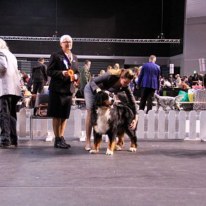 IMG_0458