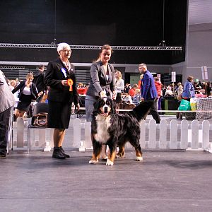 IMG_0459