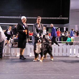IMG_0460