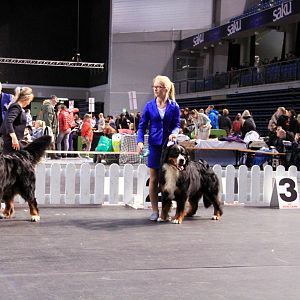 IMG_0461