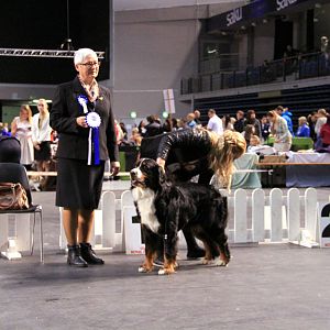 IMG_0467