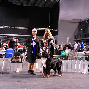 IMG_0470