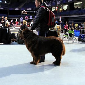 IMG_9875