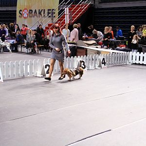 IMG_9879
