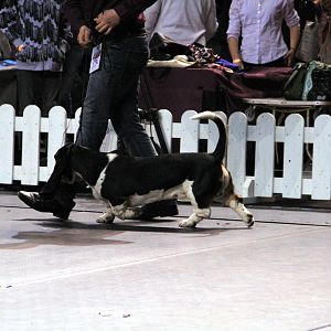 IMG_9889