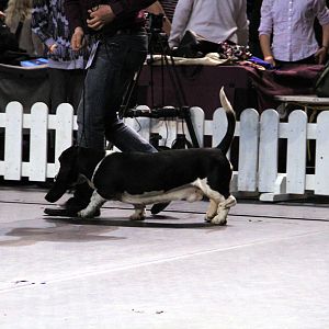 IMG_9890
