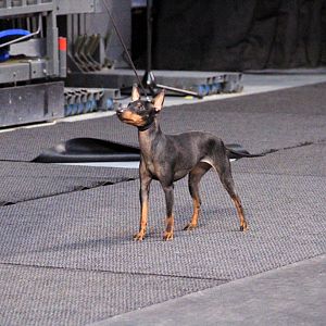 IMG_9895