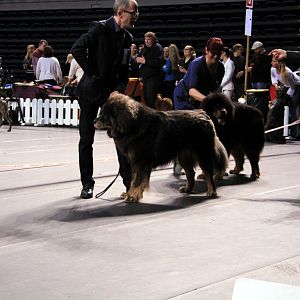 IMG_9901