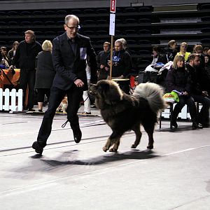 IMG_9904