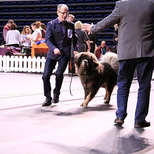 IMG_9906