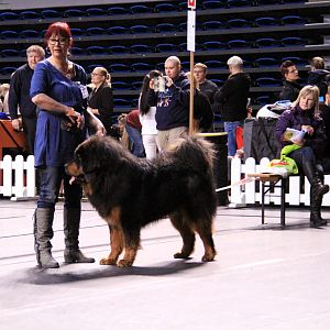 IMG_9909
