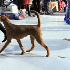 IMG_9916