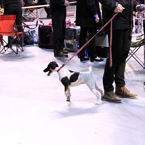 IMG_9929