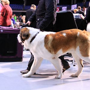 IMG_9937