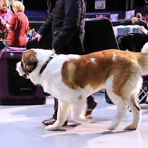 IMG_9938