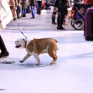 IMG_9939