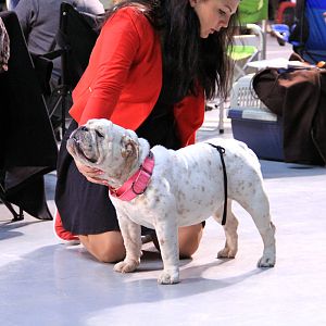 IMG_9941