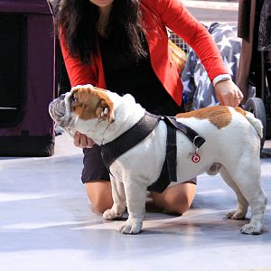 IMG_9952