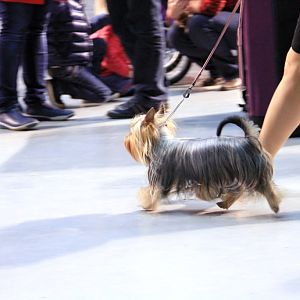 IMG_9956