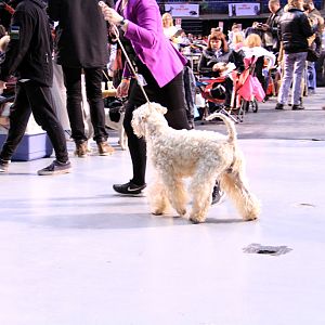 IMG_9960