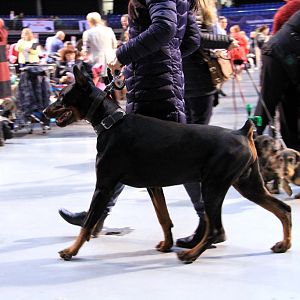 IMG_9964