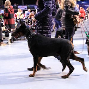 IMG_9965