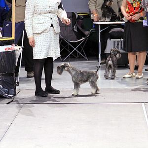 IMG_9966