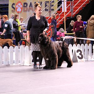 IMG_9980