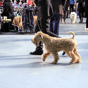 IMG_9986