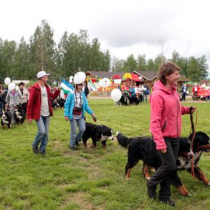IMG_8575