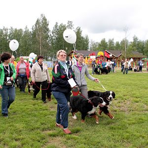 IMG_8578